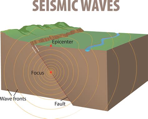 seismic 